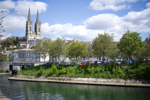 Traitement punaises de lit Niort